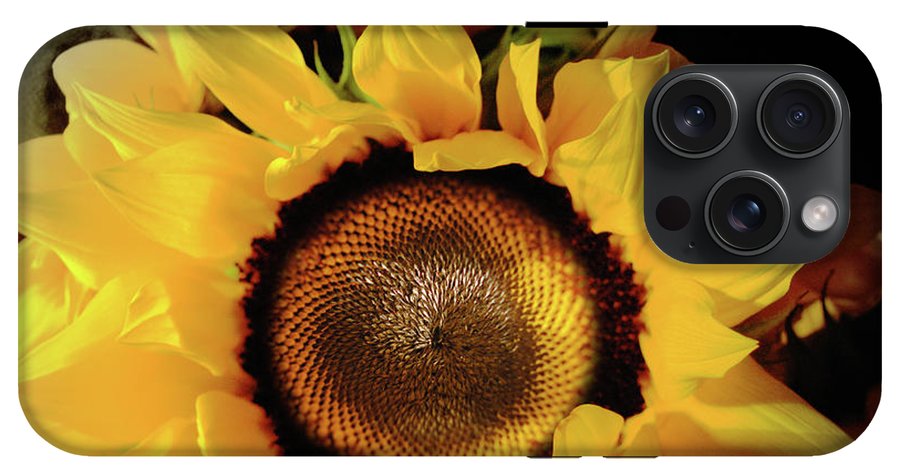 Sunflower Fades - Phone Case