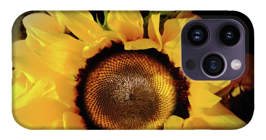 Sunflower Fades - Phone Case