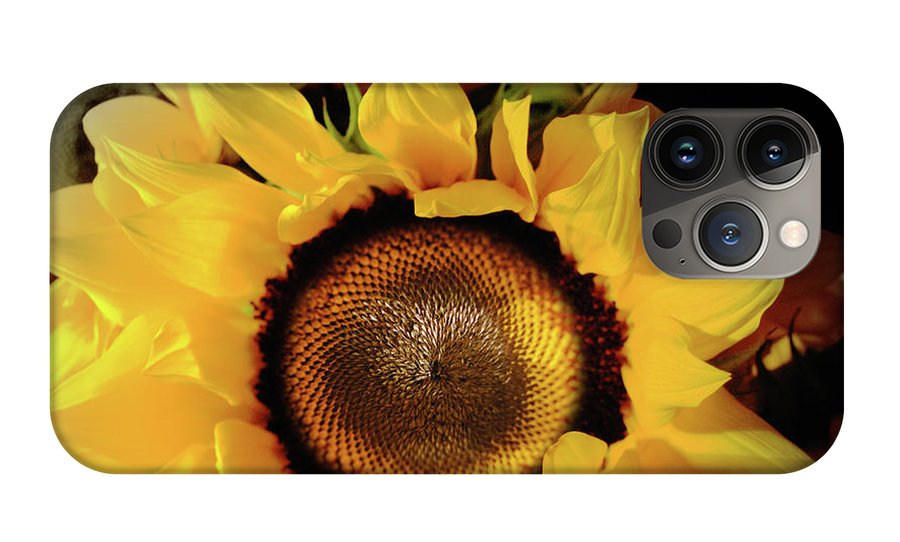 Sunflower Fades - Phone Case