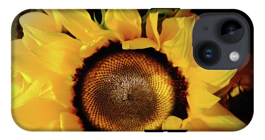 Sunflower Fades - Phone Case