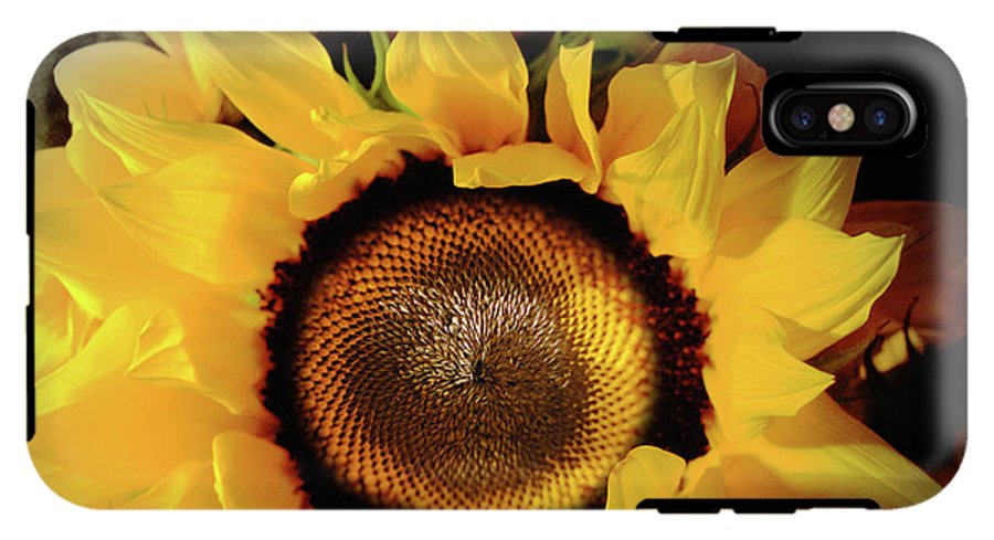Sunflower Fades - Phone Case