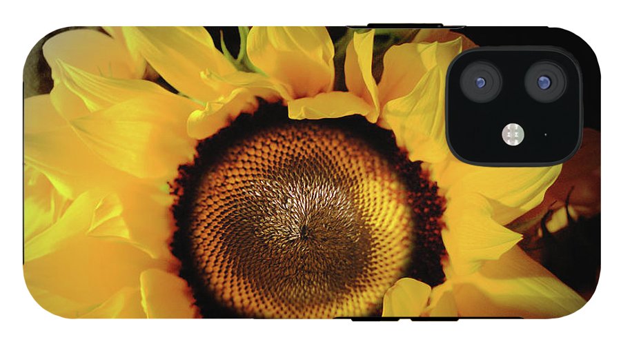 Sunflower Fades - Phone Case