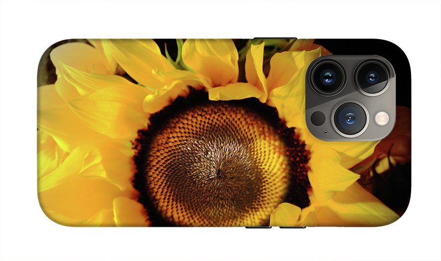 Sunflower Fades - Phone Case