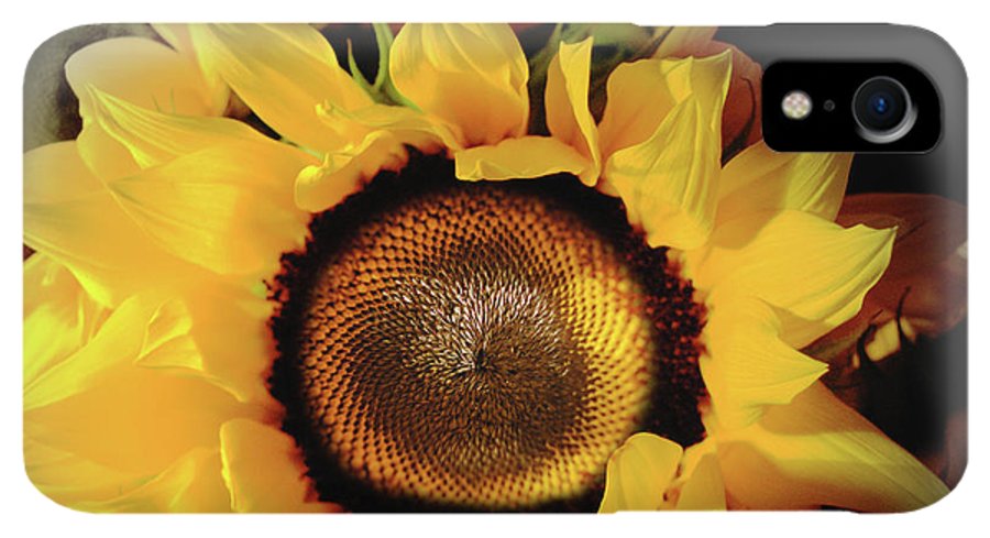 Sunflower Fades - Phone Case