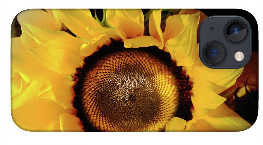 Sunflower Fades - Phone Case