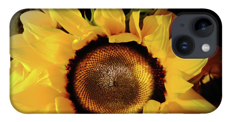 Sunflower Fades - Phone Case