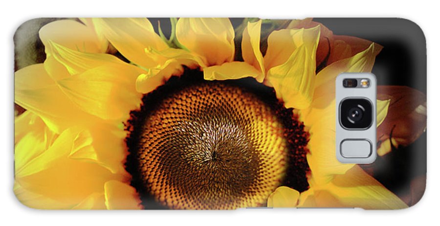 Sunflower Fades - Phone Case