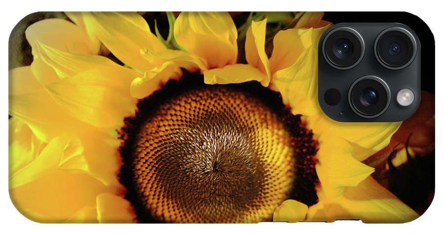 Sunflower Fades - Phone Case