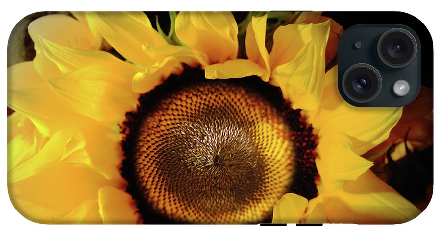 Sunflower Fades - Phone Case