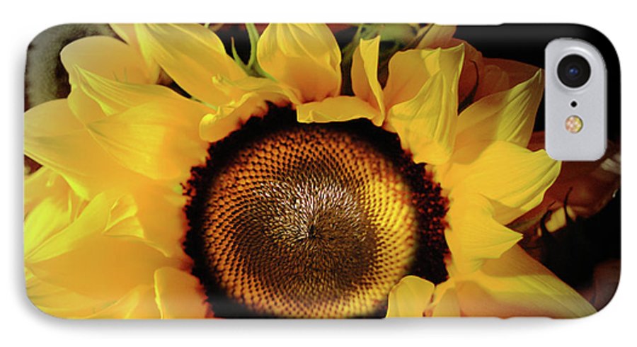 Sunflower Fades - Phone Case