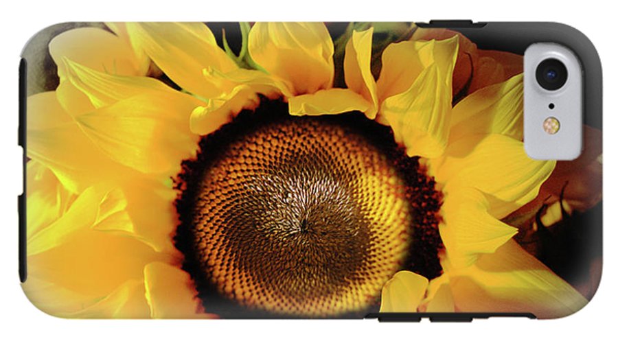 Sunflower Fades - Phone Case
