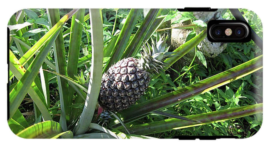 The Pineapple - Phone Case