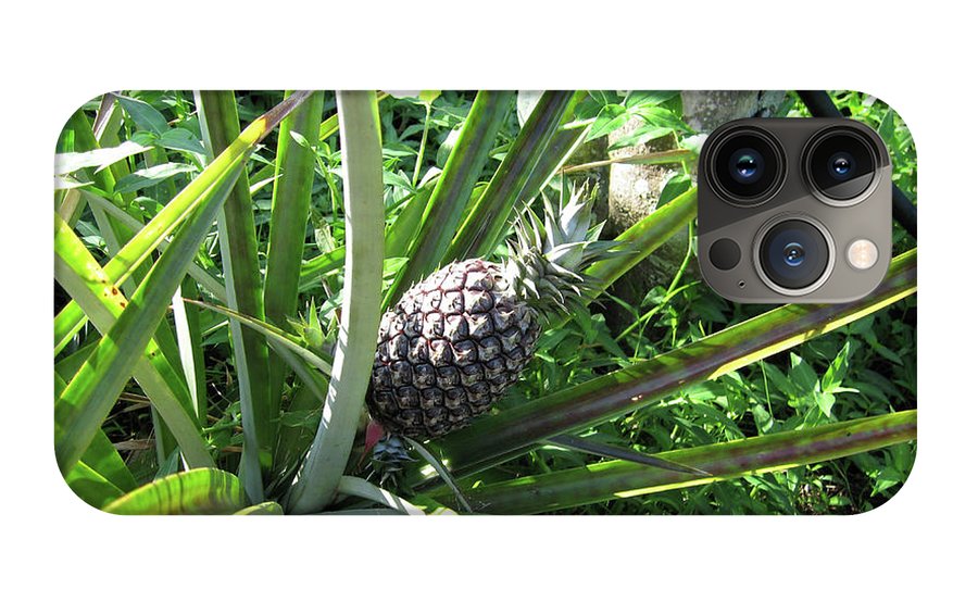 The Pineapple - Phone Case