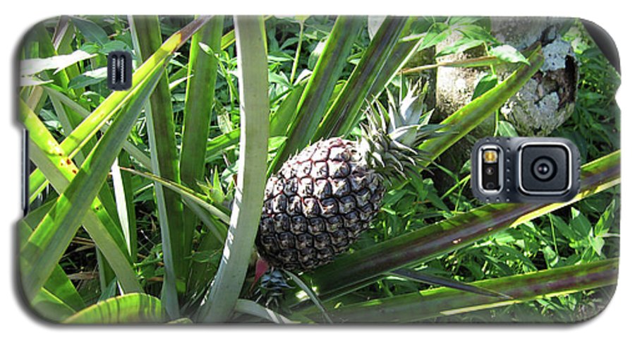 The Pineapple - Phone Case