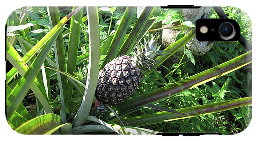 The Pineapple - Phone Case