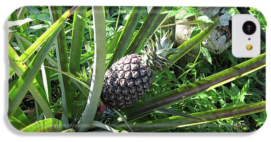 The Pineapple - Phone Case