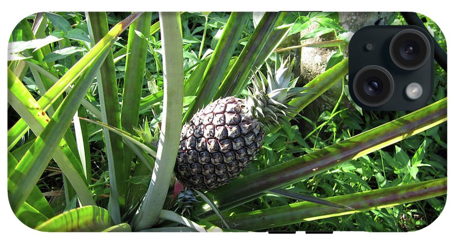 The Pineapple - Phone Case