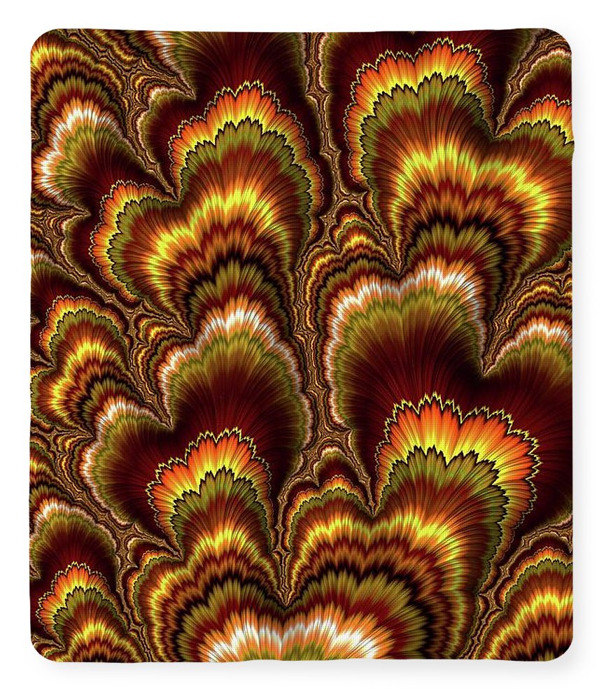 Turkey Feather Fractal - Blanket