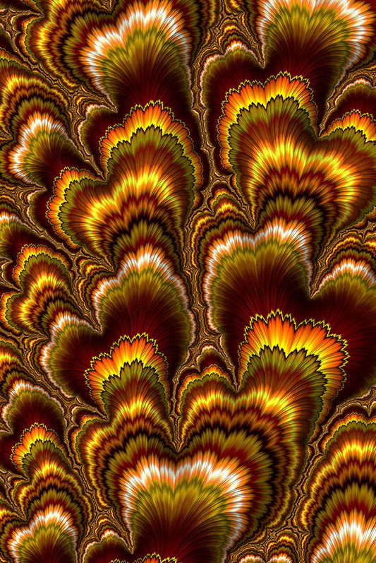 Turkey Feather Fractal Digital Image Download