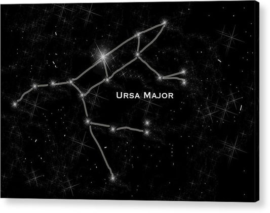 Ursa Major - Acrylic Print