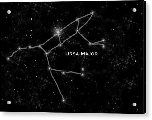 Ursa Major - Acrylic Print