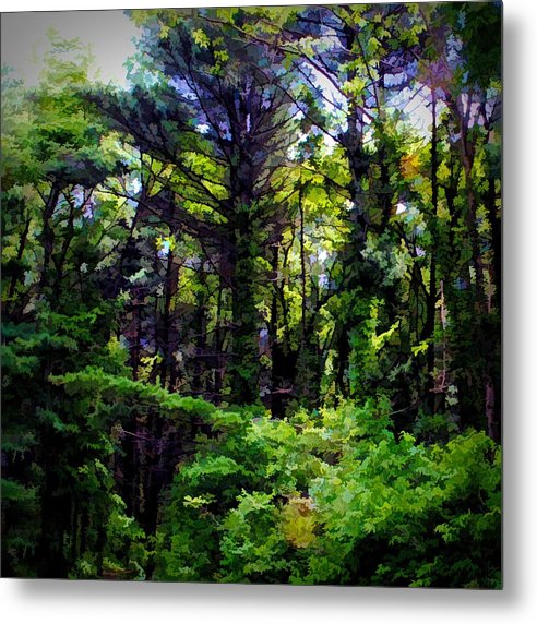 Vine Wrapped Forest - Metal Print