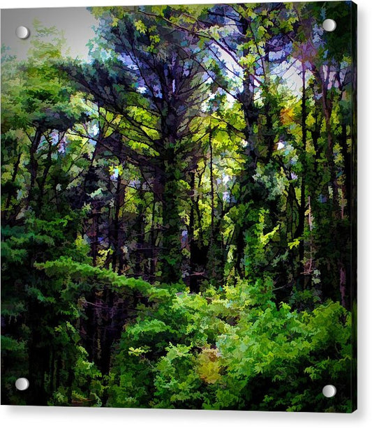 Vine Wrapped Forest - Acrylic Print