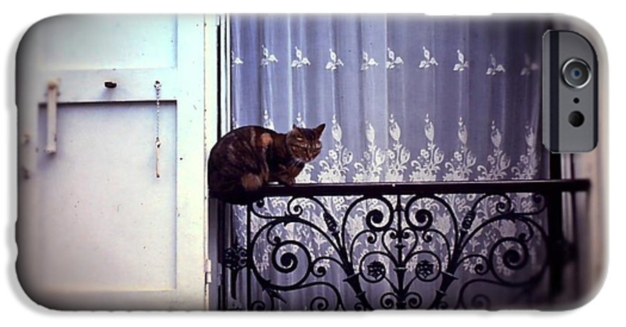 Vintage Travel Cat on a French Balcony 1967 - Phone Case