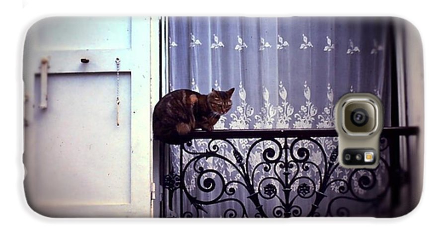 Vintage Travel Cat on a French Balcony 1967 - Phone Case