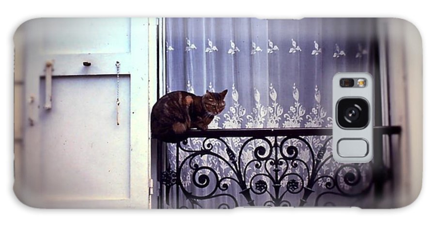 Vintage Travel Cat on a French Balcony 1967 - Phone Case