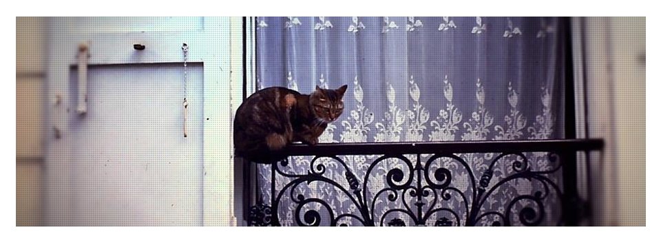 Vintage Travel Cat on a French Balcony 1967 - Yoga Mat