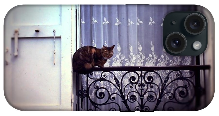 Vintage Travel Cat on a French Balcony 1967 - Phone Case