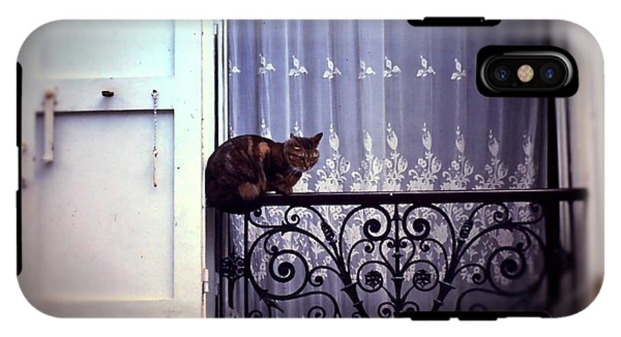 Vintage Travel Cat on a French Balcony 1967 - Phone Case