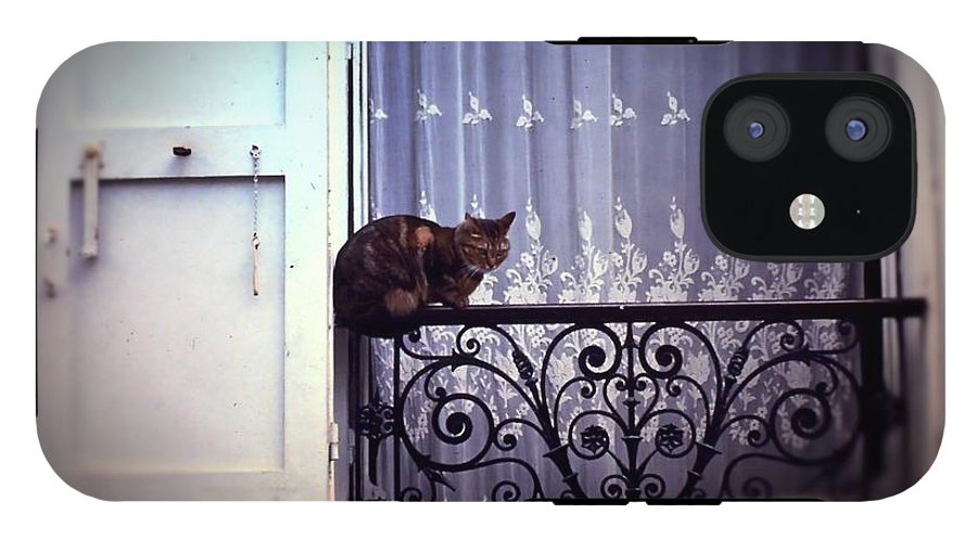 Vintage Travel Cat on a French Balcony 1967 - Phone Case
