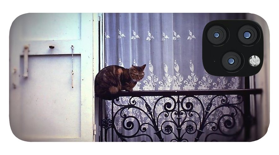 Vintage Travel Cat on a French Balcony 1967 - Phone Case