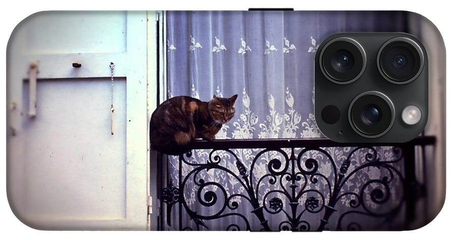 Vintage Travel Cat on a French Balcony 1967 - Phone Case