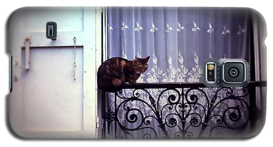 Vintage Travel Cat on a French Balcony 1967 - Phone Case