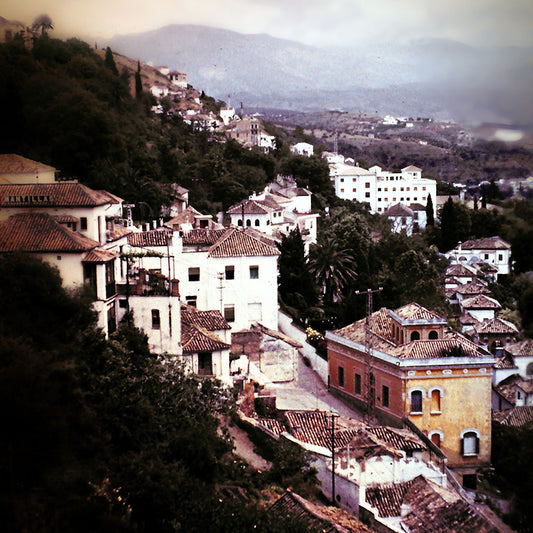 Vintage Rooftops Digital Image Download