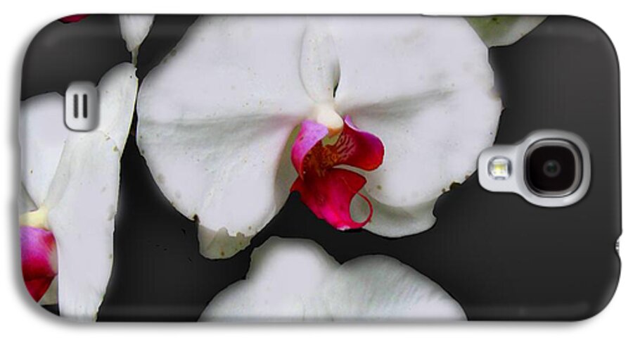 White and Pink Orchids - Phone Case