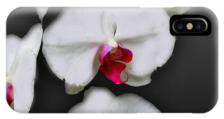 White and Pink Orchids - Phone Case