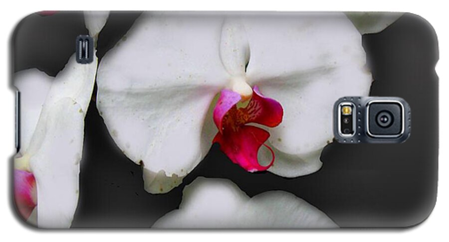 White and Pink Orchids - Phone Case