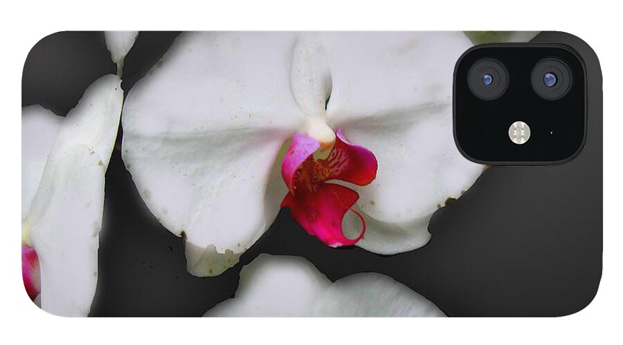 White and Pink Orchids - Phone Case