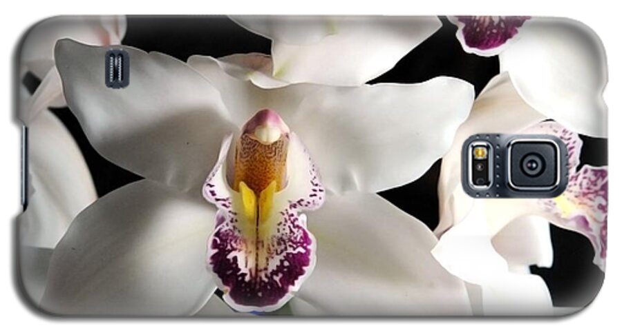 White Orchid Spray - Phone Case