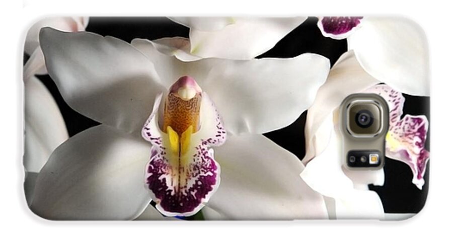 White Orchid Spray - Phone Case