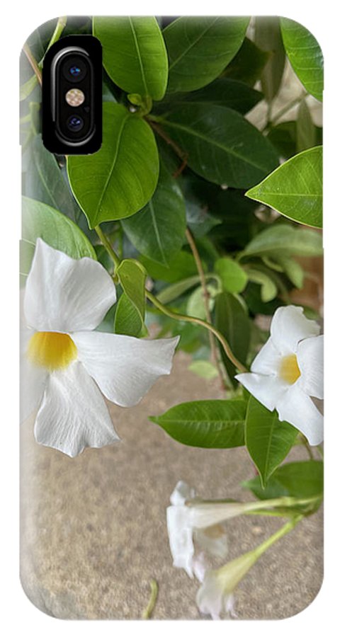 White Sidewalk Flower - Phone Case