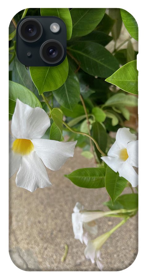 White Sidewalk Flower - Phone Case
