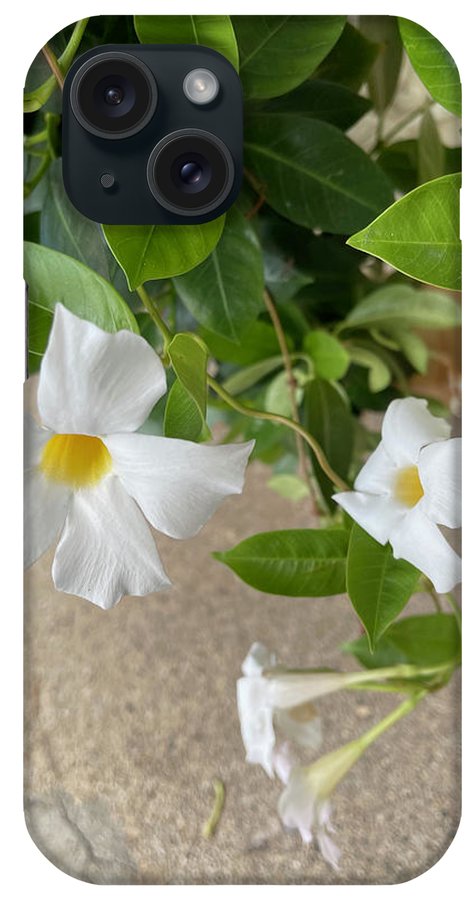 White Sidewalk Flower - Phone Case