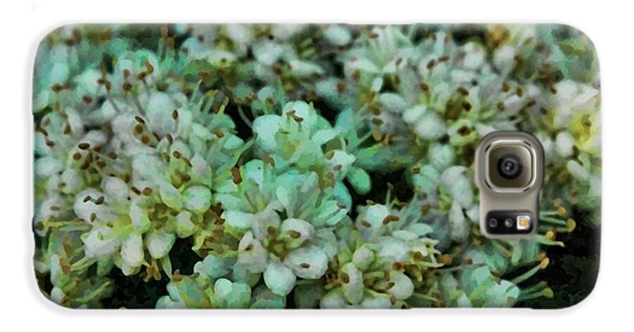 White Wildflowers - Phone Case