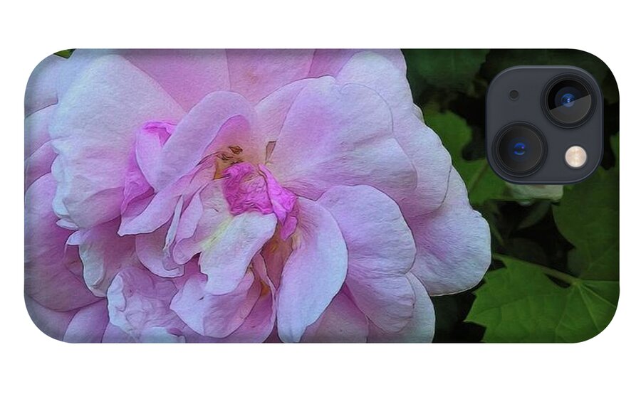 Wild Random Pink Rose - Phone Case