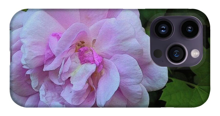 Wild Random Pink Rose - Phone Case